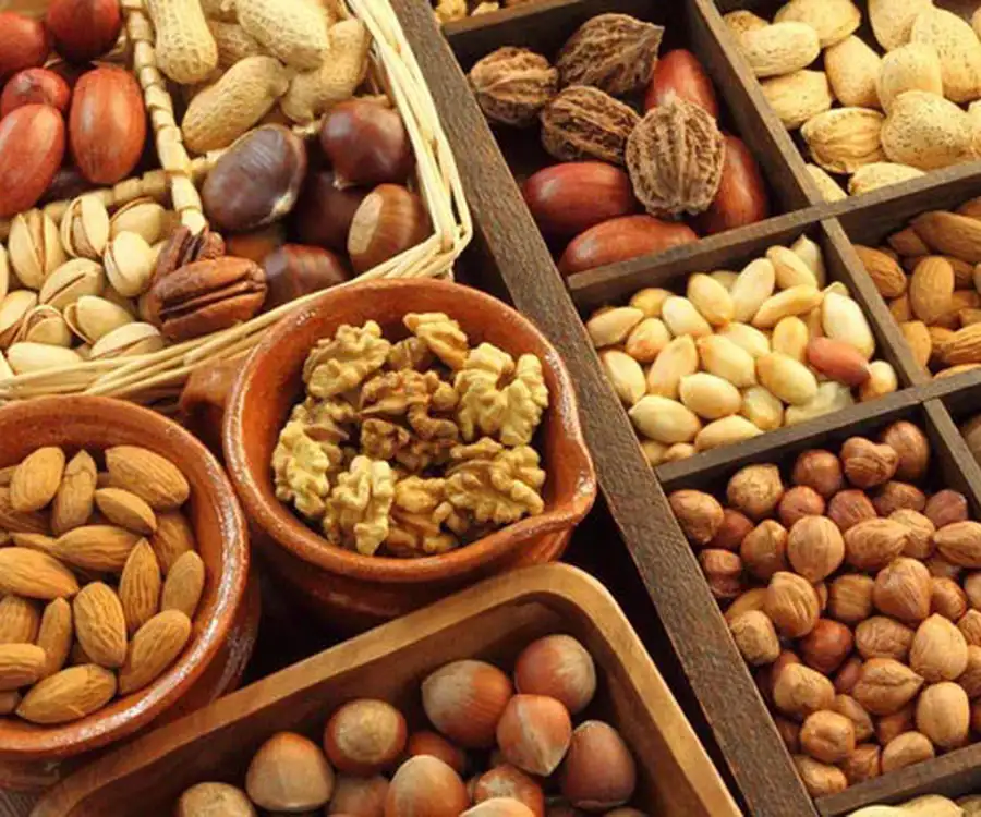 صادرات خشکبار و مواد غذایی با کارکیانیک
