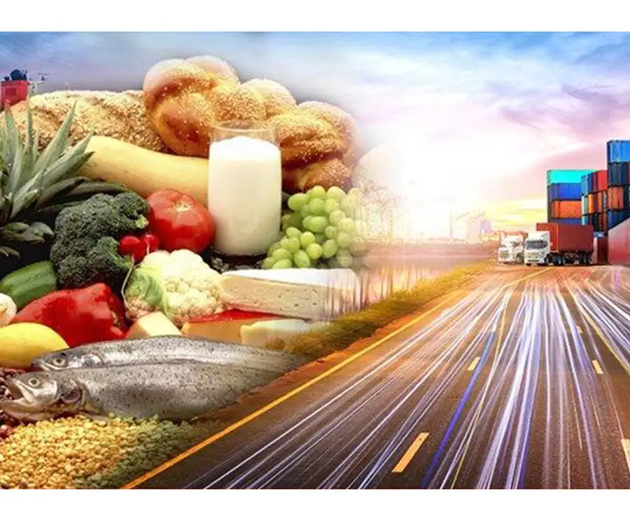 صادرات مواد غذایی چگونه محصولات ایرانی را به دنیا معرفی کنیم؟